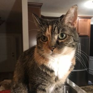 Meet your Posher, Christy